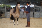 A 13&ordf; edi&ccedil;&atilde;o da feira AgroPonte inicia nesta quarta-feira em Crici&uacute;ma (SC)