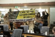 Plenário da Alesc aprova projeto que proíbe corrida de cães em SC