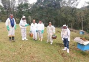 Apicultura cresce expressivamente em Quilombo