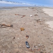 Governo Municipal de Balneário Rincão não limpa orla da praia