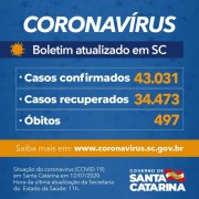 Coronavírus em SC: Estado confirma 43.031 casos e 497 mortes por Covid-19