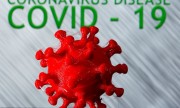 Coronavírus (covid-19): Brasil tem 391.222 casos confirmados e 24.512 mortes