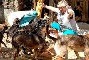 ONG de Criciúma precisa de doação de ração para animais resgatados