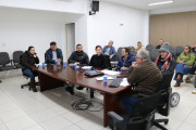 Comiss&atilde;o Especial prossegue estudos de revis&atilde;o do Regimento Interno