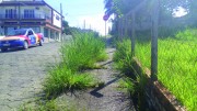 Vegetação invade mais uma rua no Centro de Içara