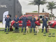 CBMSC &eacute; destaque em competi&ccedil;&atilde;o internacional de c&atilde;es de trabalho