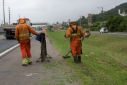 CCR ViaCosteira informa cronograma semanal de obras na BR-101 Sul