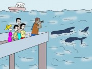 Baleia franca surge na praia