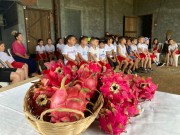 Alunos de Içara conhecem plantação de pitaya durante a colônia de férias