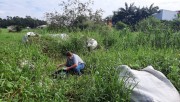 Bairro Jussara recebe força-tarefa ‘Içara no Combate à Dengue’