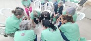 Programa Mulheres tem 1&ordm; m&oacute;dulo conclu&iacute;do sobre Educa&ccedil;&atilde;o Cooperativista