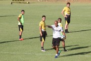 Tigre recebe o Fluminense no est&aacute;dio Heriberto H&uuml;lse
