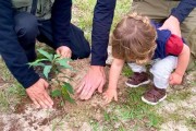Dia da Árvore: IMA realiza plantio de mudas no Parque da Serra do Tabuleiro