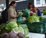 Feira da Agricultura Familiar de Siderópolis será na Praça da Matriz