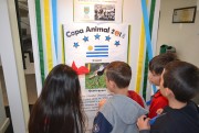 Museu de Zoologia da Unesc promove a Copa Animal