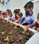 Secretaria de Educação de Rincão lança projeto “Uma horta em cada canto”