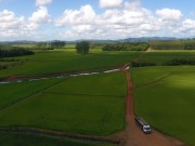 Epagri conclui mapeamento da área de arroz em SC por imagens de satélite 