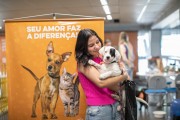 Sábado tem feira de adoção de pets no Município de Criciúma