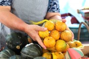Feira da Agricultura Familiar retoma atividades em Criciúma (SC)