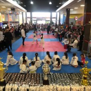 Festival de Karat&ecirc; re&uacute;ne 400 alunos i&ccedil;arenses em Crici&uacute;ma (SC)