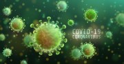 Forquilhinha possui 18 casos confirmados de coronavírus (covid-19)