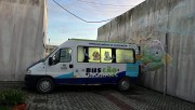 Equipe do BusC&atilde;o castra 28 animais no Bairro Vila Nova em I&ccedil;ara (SC)