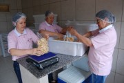 Renda de empreendimentos da agricultura familiar cresce 118%