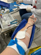 Administra&ccedil;&atilde;o de I&ccedil;ara (SC) e Hemosc unir&atilde;o for&ccedil;as em nova coleta de sangue 