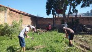 Comunidade renova canteiros de horta comunitária em Araranguá