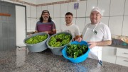Hortaliças de Hortaliças experimental de mestrado são doadas em Ararangua