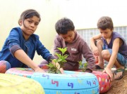Crianças e adolescentes preparam horta e floreiras em Criciúma