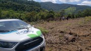 IMA identifica desmatamento ilegal e atua contra crimes ambientais