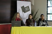Feminismo indígena é tema de debate na Unesc