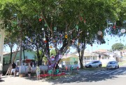 Clubes de Mães e Grupos de Idosos enfeitam árvores com materiais recicláveis