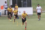 Trabalho de for&ccedil;a e atividades f&iacute;sicas e t&eacute;cnicas para o Tigre