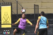 Trabalhos espec&iacute;ficos no est&aacute;dio Heriberto H&uuml;lse 