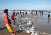 Pescadores pegam mais de 10 mil quilos em Balneário Rincão