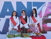 Inscri&ccedil;&otilde;es para corte da 24&ordf; Festa da Tainha est&aacute; aberta