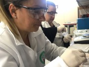 Professores recebem treinamento em laboratório 