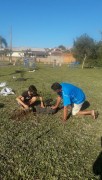Associação de Moradores do Bairro Jardim Silvana efetua plantio de mudas