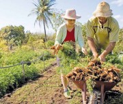 Case de sucesso de produtor rural de Imaruí é selecionado a nível nacional