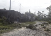 Árvore cai sobre muro de residência em Balneário Gaivota (SC)