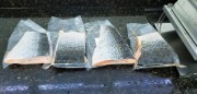 Imetro-SC orienta consumidores sobre cuidados na compra de pescado congelado