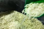 Pelo Esdtado: novo leil&atilde;o de arroz pode prejudicar produtores locais
