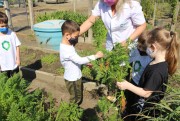 Plantar e colher hortaliças na prática da turminha do Infantil Satc