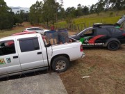 Polícia Civil estoura abatedouro clandestino de cavalos no Sul do Estado