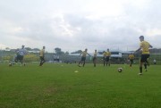 Tigre se reapresenta com atividades espec&iacute;ficas