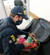 Polícia Rodoviária Federal prende mulher com 1,5kg de maconha na BR-101