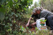 Projeto Ra&iacute;zes HSJos&eacute;: primeiras &aacute;rvores s&atilde;o plantadas