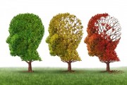 Projeto Bem Viver com Alzheimer promove encontro 